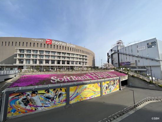 チームラボフォレスト福岡 入館チケット 日時指定事前予約 ＜福岡市＞