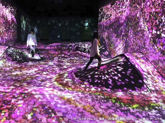 チームラボフォレスト福岡 入館チケット 日時指定事前予約 ＜福岡市＞