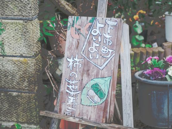 奈良名物「柿の葉寿司」手作り体験 吉野地域の食文化に触れる！＜約1～2時間／下市町＞