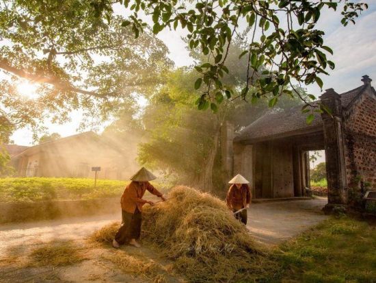 ベトナム文化遺産ドンラム村とタイ寺ツアー　モンフー地区散策＋古民家ランチ付き＜貸切／1日／昼食／日本語ガイド＞