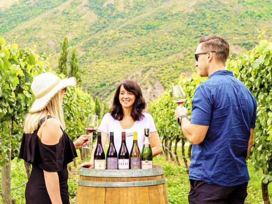 ギブストンバレーワイナリー半日ツアー　3軒のワイナリーや地下ワイン洞窟を訪問！＜午後発／試飲付／チーズボード付き／英語ガイド／クイーンズタウン発＞