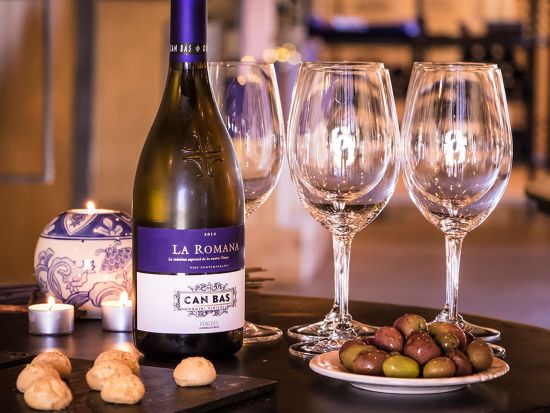 ペネデス ワイナリー訪問ツアー　4WDでブドウ畑探索＋ワインとカヴァ試飲付き＜英語／バルセロナ発＞