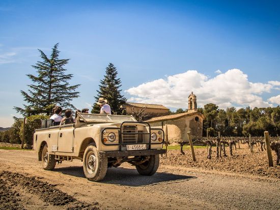 ペネデス ワイナリー訪問ツアー　4WDでブドウ畑探索＋ワインとカヴァ試飲付き＜英語／バルセロナ発＞