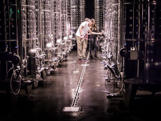 ペネデス ワイナリー訪問ツアー　4WDでブドウ畑探索＋ワインとカヴァ試飲付き＜英語／バルセロナ発＞