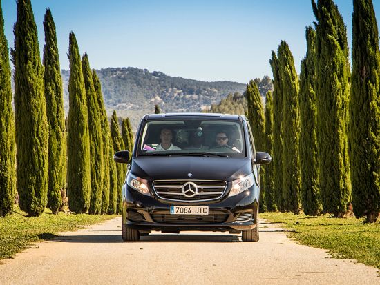 ペネデス ワイナリー訪問ツアー　4WDでブドウ畑探索＋ワインとカヴァ試飲付き＜英語／バルセロナ発＞