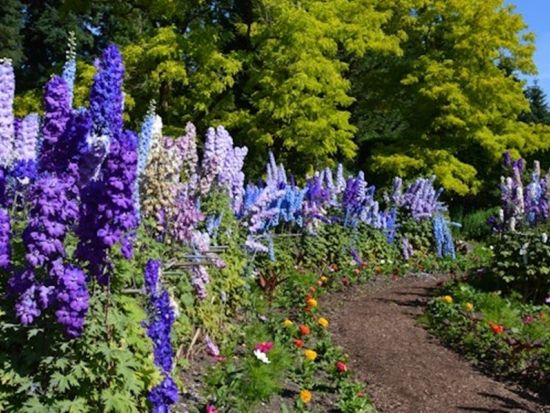 バンデューセン植物園　チケット予約・前売り券 by Tiqets