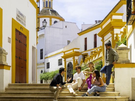 【貸切】高速列車で行くセビリア観光1日プライベートツアー　列車チケット付き　世界遺産アルカサル入場プランあり＜英語／マドリード発＞