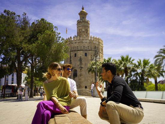 【貸切】高速列車で行くセビリア観光1日プライベートツアー　列車チケット付き　世界遺産アルカサル入場プランあり＜英語／マドリード発＞