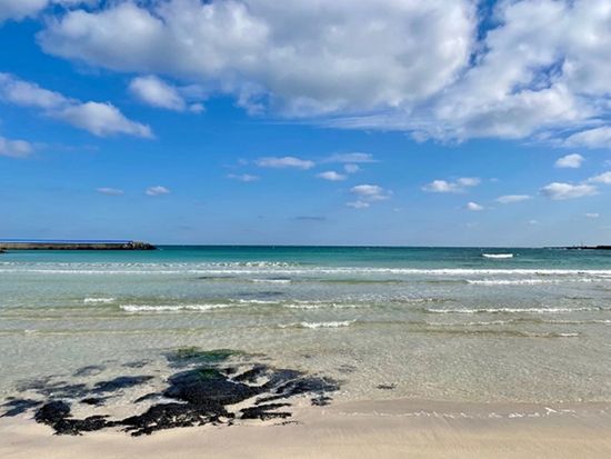 200012561_base_16905129636408