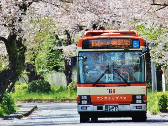 東海バスフリーきっぷ  全線2日券・3日券 全路線乗り放題＜静岡＞