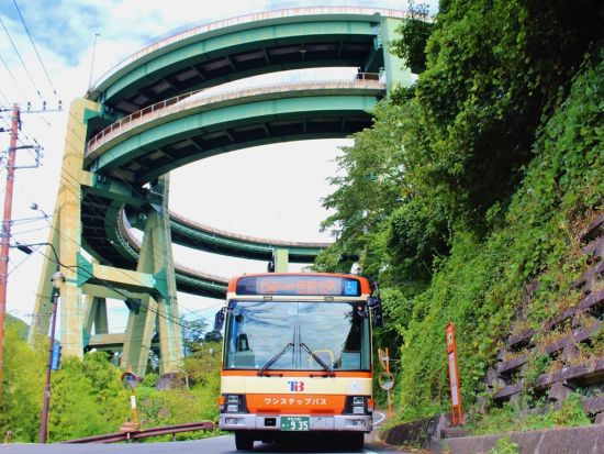 東海バスフリーきっぷ  全線2日券・3日券 全路線乗り放題＜静岡＞