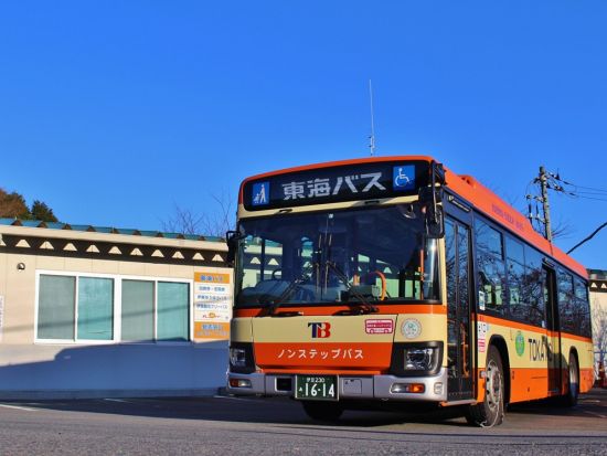 東海バスフリーきっぷ　伊東・伊豆高原2日券　伊東市内路線バス乗り放題＜静岡＞