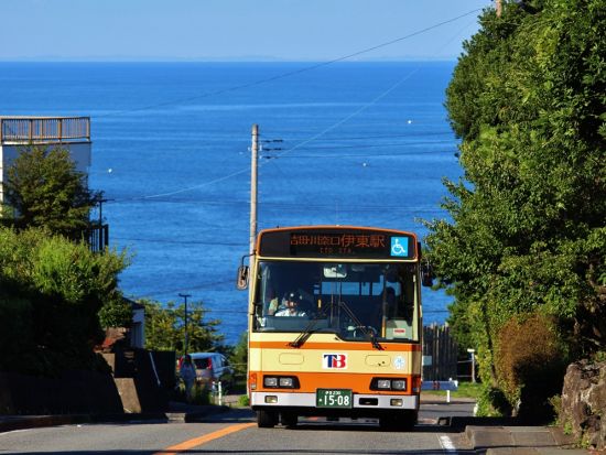 東海バスフリーきっぷ　伊東・伊豆高原2日券　伊東市内路線バス乗り放題＜静岡＞