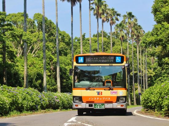 東海バスフリーきっぷ　伊東・伊豆高原2日券　伊東市内路線バス乗り放題＜静岡＞