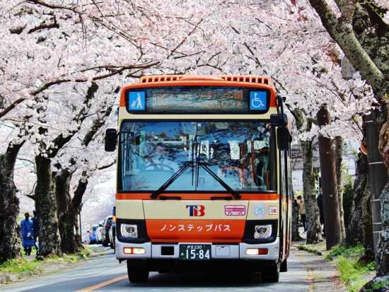 東海バスフリーきっぷ　伊東・伊豆高原2日券　伊東市内路線バス乗り放題＜静岡＞