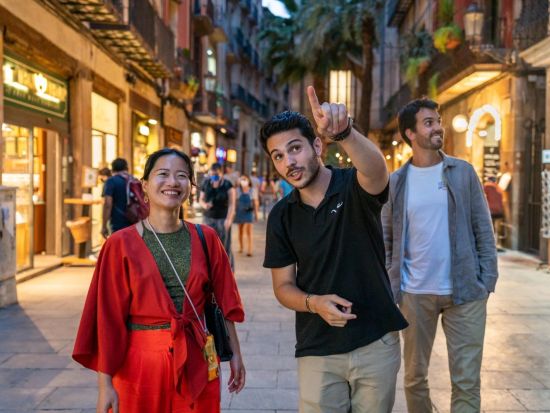 高速列車で行くバルセロナ観光1日ツアー　列車チケット付き＜英語／マドリード発＞