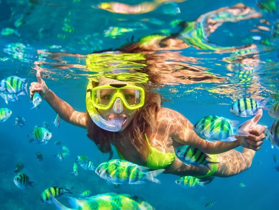 Generic_Snorkeling_Coral Reef_shutterstock_598410023