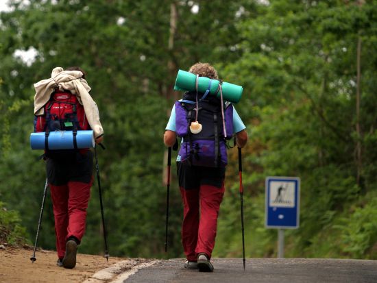 カミーノ・デ・サンティアゴ巡礼体験 日帰りツアー 専用車と徒歩で行く巡礼路＜貸切／現地語ドライバー／サンティアゴ・デ・コンポステーラ発＞