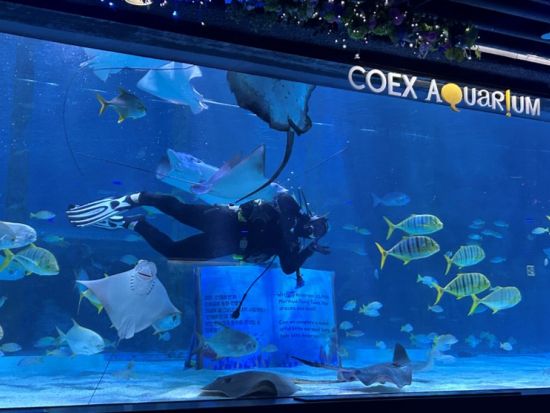 COEXアクアリウム入場チケット予約・前売り券