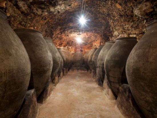 ワイナリー訪問1日ツアー マドリード郊外の町巡り＜英語／マドリード発＞