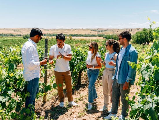 ワイナリー訪問1日ツアー マドリード郊外の町巡り＜英語／マドリード発＞