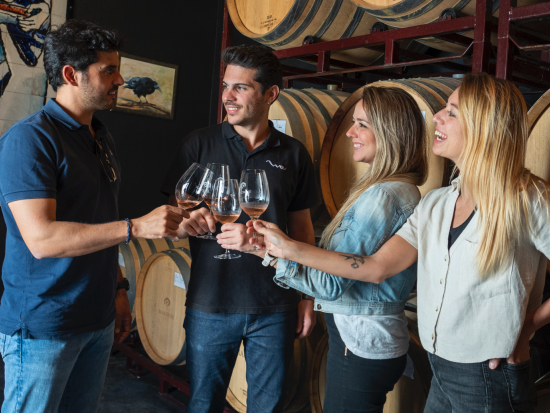 ワイナリー訪問1日ツアー マドリード郊外の町巡り＜英語／マドリード発＞