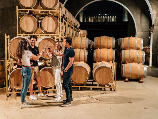 【貸切】リベラ・デル・ドゥエロのワイナリー訪問＆セゴビア観光1日プライベートツアー＜英語／マドリード発＞