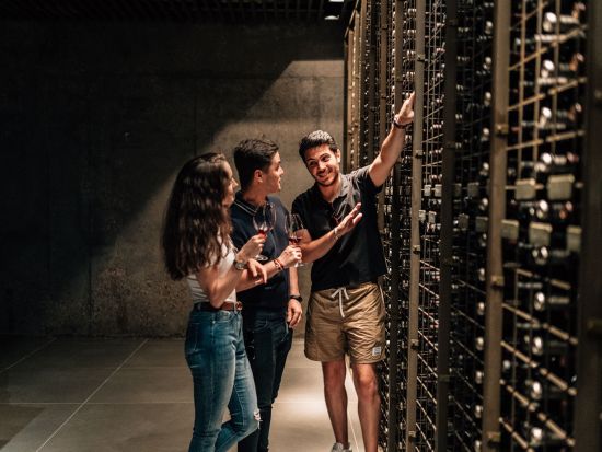 【貸切】リベラ・デル・ドゥエロのワイナリー訪問＆セゴビア観光1日プライベートツアー＜英語／マドリード発＞