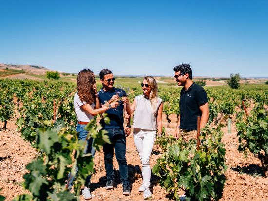 【貸切】リベラ・デル・ドゥエロのワイナリー訪問＆セゴビア観光1日プライベートツアー＜英語／マドリード発＞