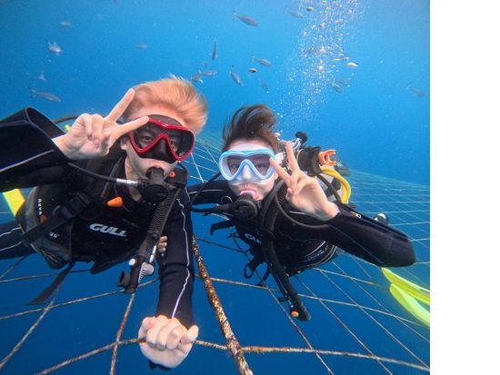 ジンベエザメ体験ダイビング ジンベエザメに会いに行こう！初心者の方でも楽しめる ツアー中の撮影データ付＜ボート／1日2便／10歳～／約2時間半／恩納村＞