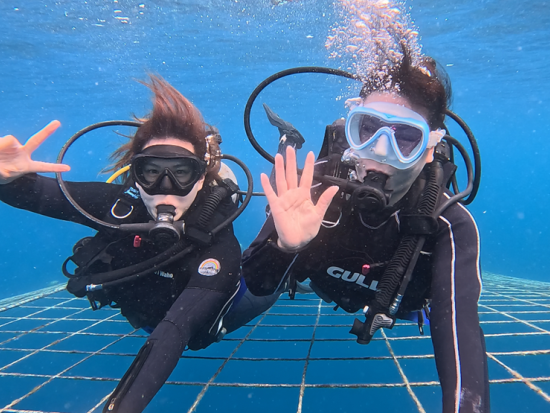 ジンベエザメ体験ダイビング ジンベエザメに会いに行こう！初心者の方でも楽しめる ツアー中の撮影データ付＜ボート／1日2便／10歳～／約2時間半／恩納村＞