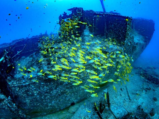 ハワイ島 アトランティス潜水艦　ハワイの海底アドベンチャー ＜日本語オーディオガイド＞　