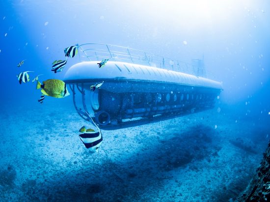 アトランティス潜水艦ツアー　ハワイの海底30mを進む海中アドベンチャー ＜ヒルトン・ハワイアン・ビレッジ発／日本語ナレーション（要事前ダウンロード）＞