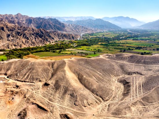 ナスカの地上絵セスナ遊覧＆バジェスタス諸島クルーズ1泊2日ツアー＜日本語ガイド／宿泊費込み／食事付／リマ発＞