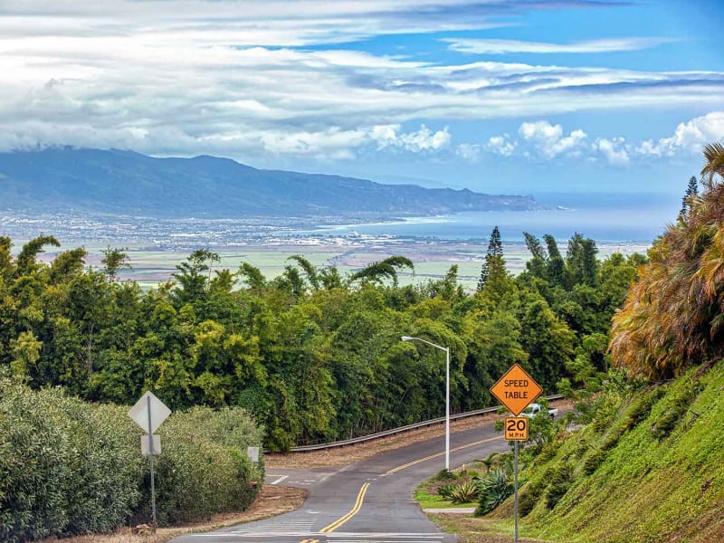 Upcountry_Maui_shutterstock_1577966275