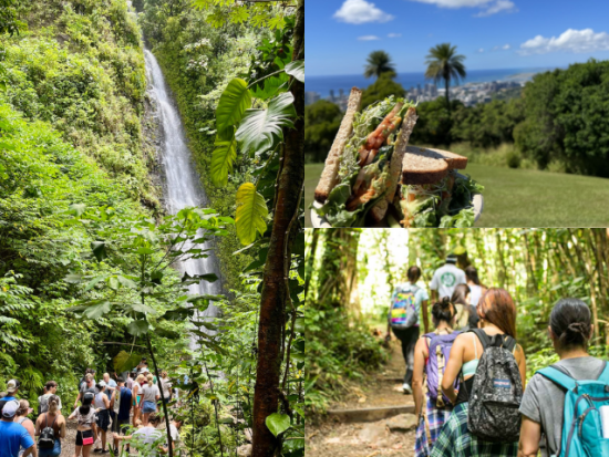 マノア滝ハイキングツアー　大自然がもたらすエネルギーを全身で感じよう！＜日本語ガイド／オーガニックランチ付き＞