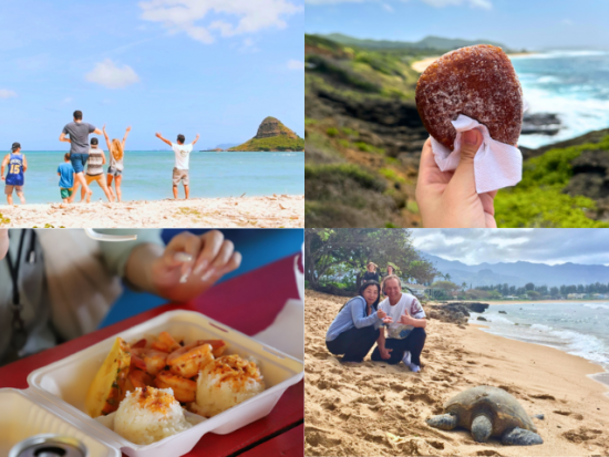  オアフ島1日観光　ノースショア（ハレイワ）と絶景スポット＆ローカルグルメ巡り欲張りツアー！ フミズのガーリックシュリンプランチ付き