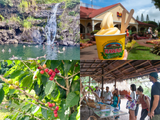 ワイメア滝ハイキングツアー　滝つぼ遊び付き！ノースショアの大自然に癒されながらハワイのカルチャー体験＜コーヒー農園での軽食＆渓谷ランチ付き＞