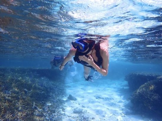 マングローブSUP or カヌー& バラス島シュノーケリング  水落の滝を目指す冒険を楽しもう！＜1日／市街地送迎可／西表島＞