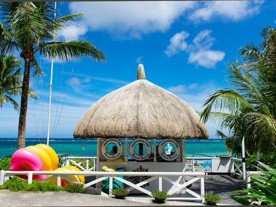 ビーチカウンター2020.6.29