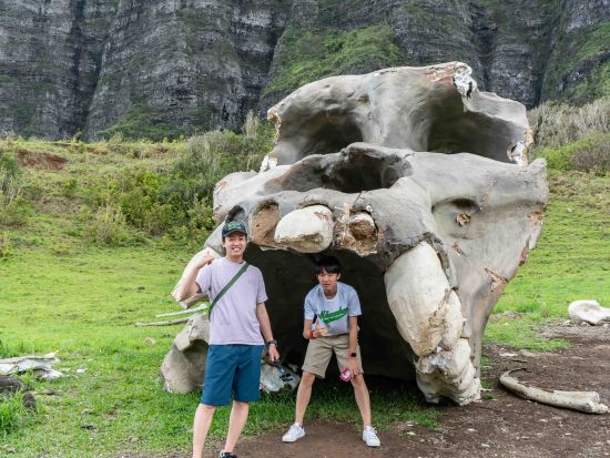 クアロア・ランチ　TVと映画のロケ地巡りツアー＜1時間半または2時間半／送迎付きプランあり＞