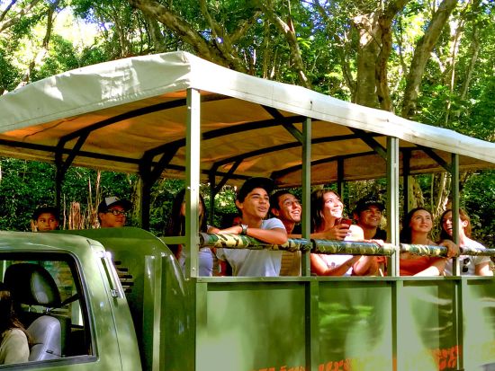 クアロア・ランチ　映画のロケ地巡り、農作物を学ぶ農園ツアー、ジャングル探検ツアーが楽しめる1日満喫パッケージ　ビュッフェランチ付き！＜1日／送迎付きプランあり＞