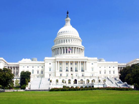 ワシントンD.C. 日帰り観光ツアー ＜1名から催行／日本語アシスタント／ニューヨーク発着／環境保全への寄付＞by Amadeo Travel Solution