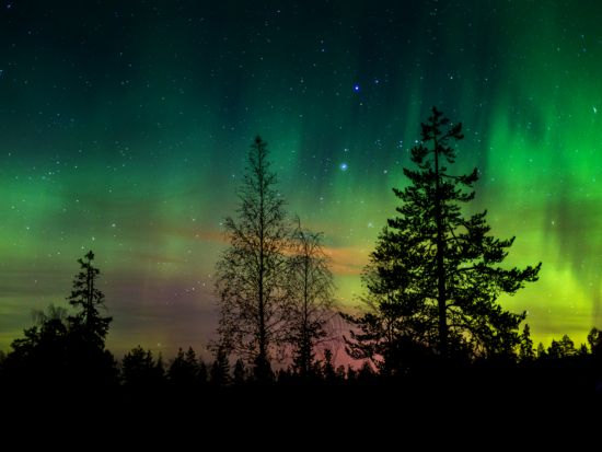 【航空券付き】ホワイトホース オーロラ観賞2泊3日ツアー　市内観光も楽々！ダウンタウンのホテル宿泊付き ＜8～3月／日本語ガイド／バンクーバー発着＞