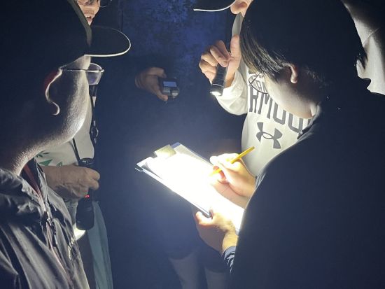 やんばるの森探検ツアー　1日1組限定！公園内の生物を調査するナイトツアー＜国頭村森林公園＞