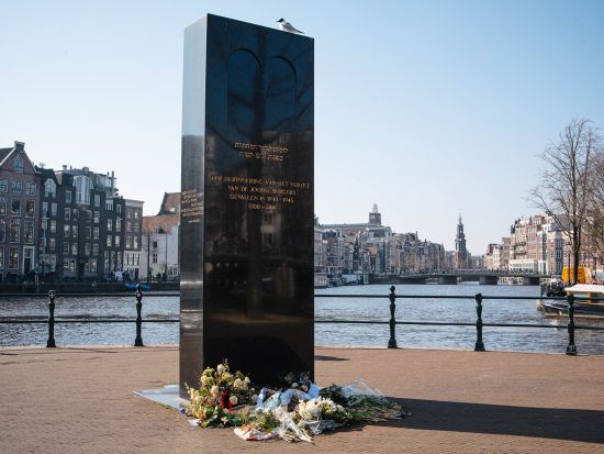 フォトグラファーと歩くアムステルダム半日ツアー　オランダ黄金時代とユダヤ人の歴史を紐解く　写真撮影サービス付き＜約4時間／午後／日本語／アムステルダム発＞