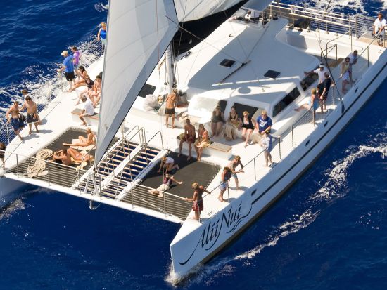 ホエールウォッチングクルーズ 　大型カタマラン船を利用！午前または午後から選べる＜12～4月／軽食＆ドリンク飲み放題付き／マアラエア港発＞