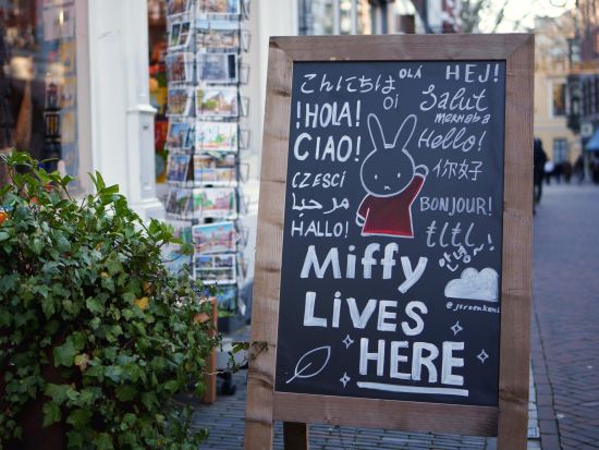 フォトグラファーと歩くミッフィーだらけのユトレヒト観光　写真撮影サービス付き＜約2時間／午後／日本語／ユトレヒト発＞