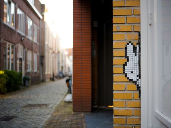 フォトグラファーと歩くミッフィーだらけのユトレヒト観光　写真撮影サービス付き＜約2時間／午後／日本語／ユトレヒト発＞