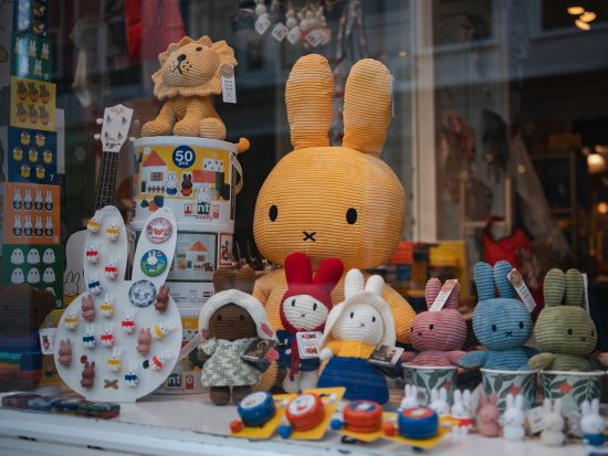 フォトグラファーと歩くミッフィーだらけのユトレヒト観光　写真撮影サービス付き＜約2時間／午後／日本語／ユトレヒト発＞